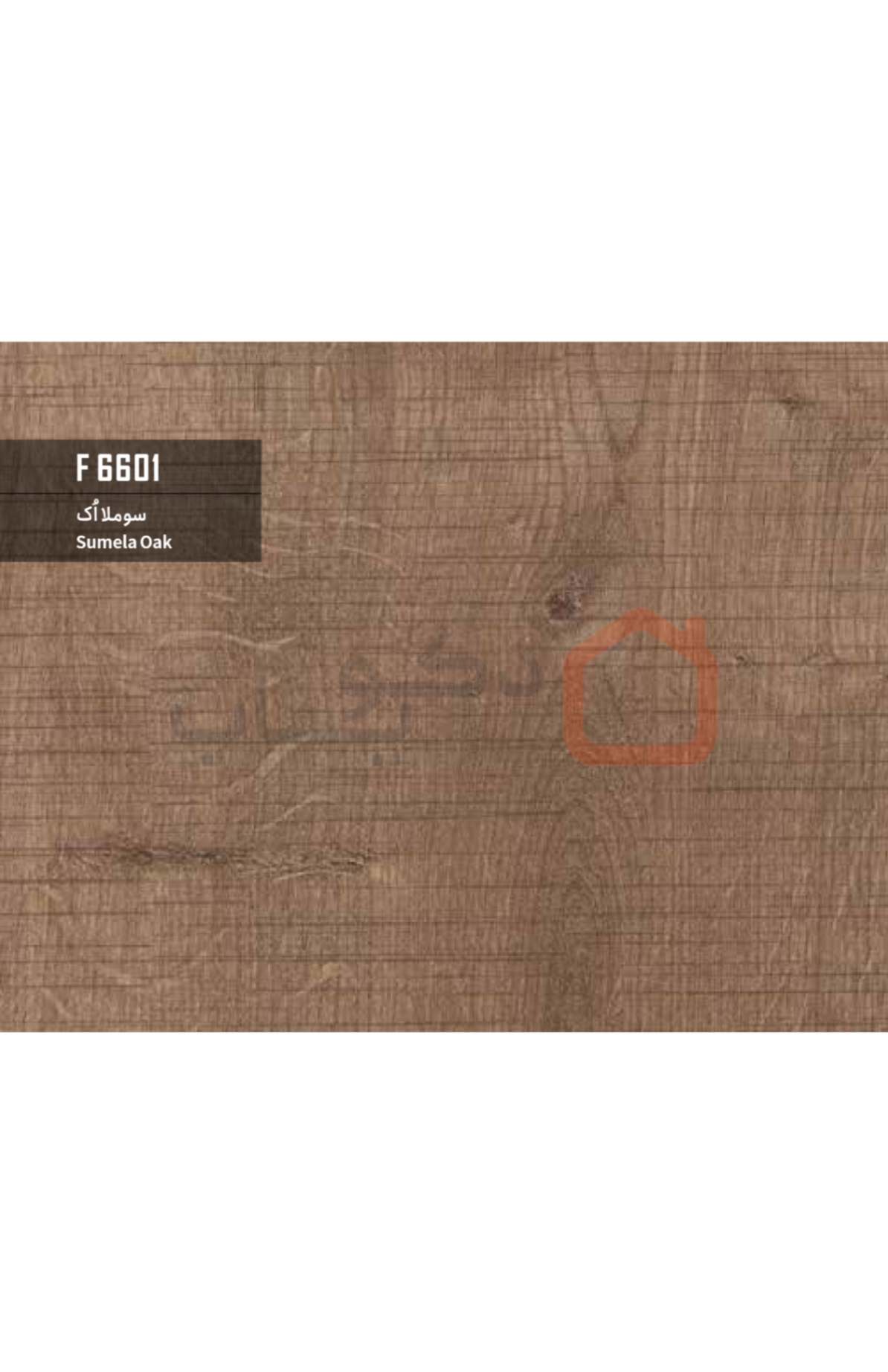 ام دی اف بست وود کد F6601