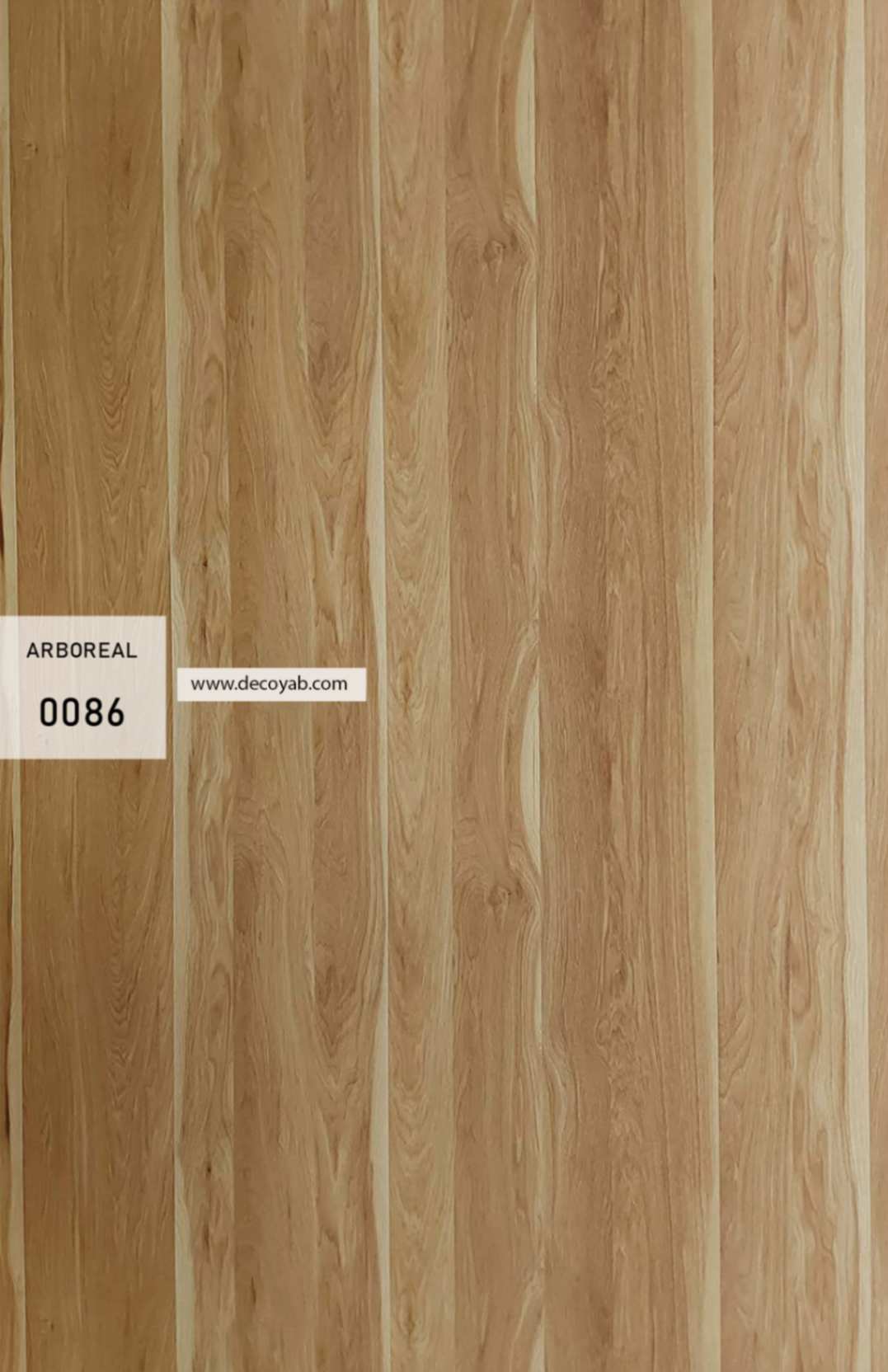 ام دی اف کینگ گلاس کد 0086 ام دی اف کینگ گلاس کد 0086