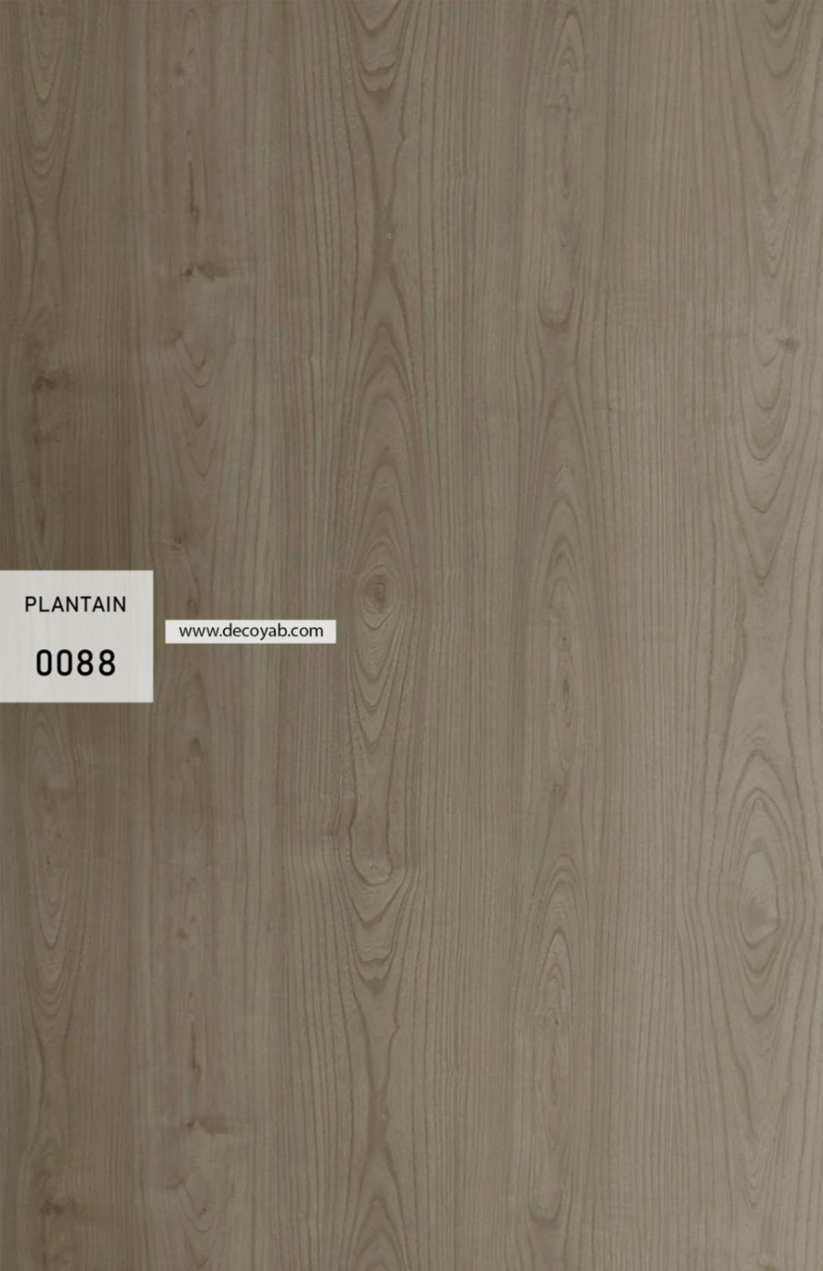 ام دی اف کینگ گلاس کد 0088